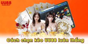 Cách chọn kèo UU88 luôn thắng