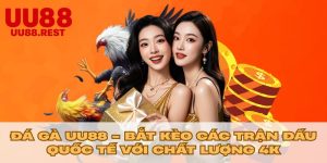Đá Gà UU88 - Bắt Kèo Các Trận Đấu Quốc Tế Với Chất Lượng 4K