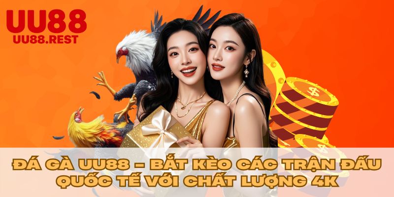 Đá Gà UU88 - Bắt Kèo Các Trận Đấu Quốc Tế Với Chất Lượng 4K