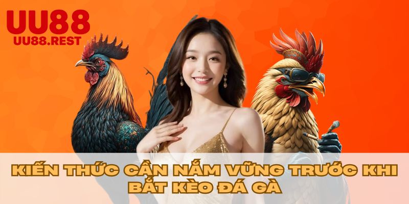 Kiến thức cần nắm vững trước khi bắt kèo đá gà
